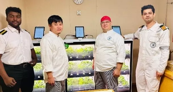 Synergy Marine Group is utilizing AI-powered technology to cultivate fresh vegetables onboard its vessels.