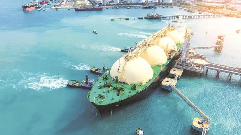 crude oil imports