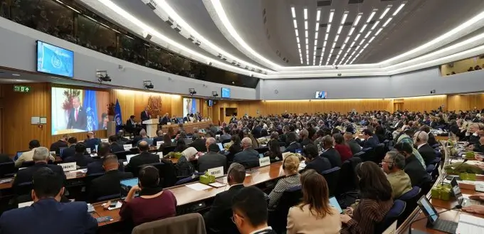 IMO Council